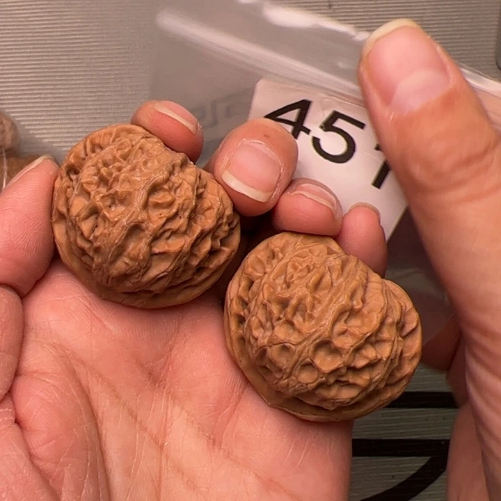 核桃全品宫灯38尺451