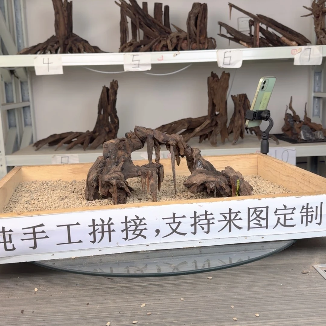 阳***面沉木造景沉木造景