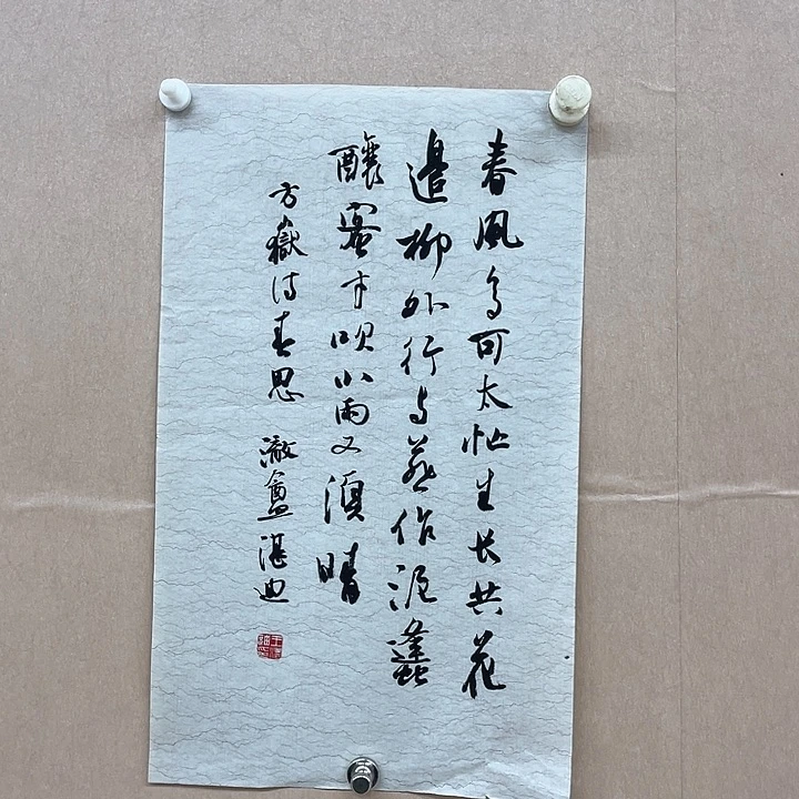 书法王湛迪30*45㎝吉林LS  书法硕S