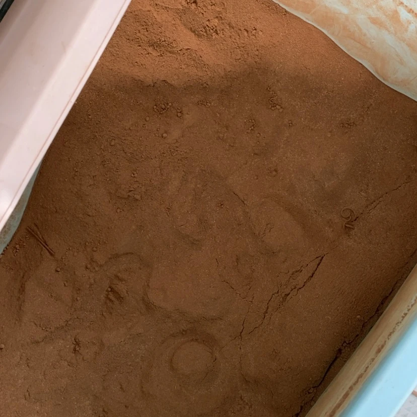 【闪购商品】海南虫漏粉21克