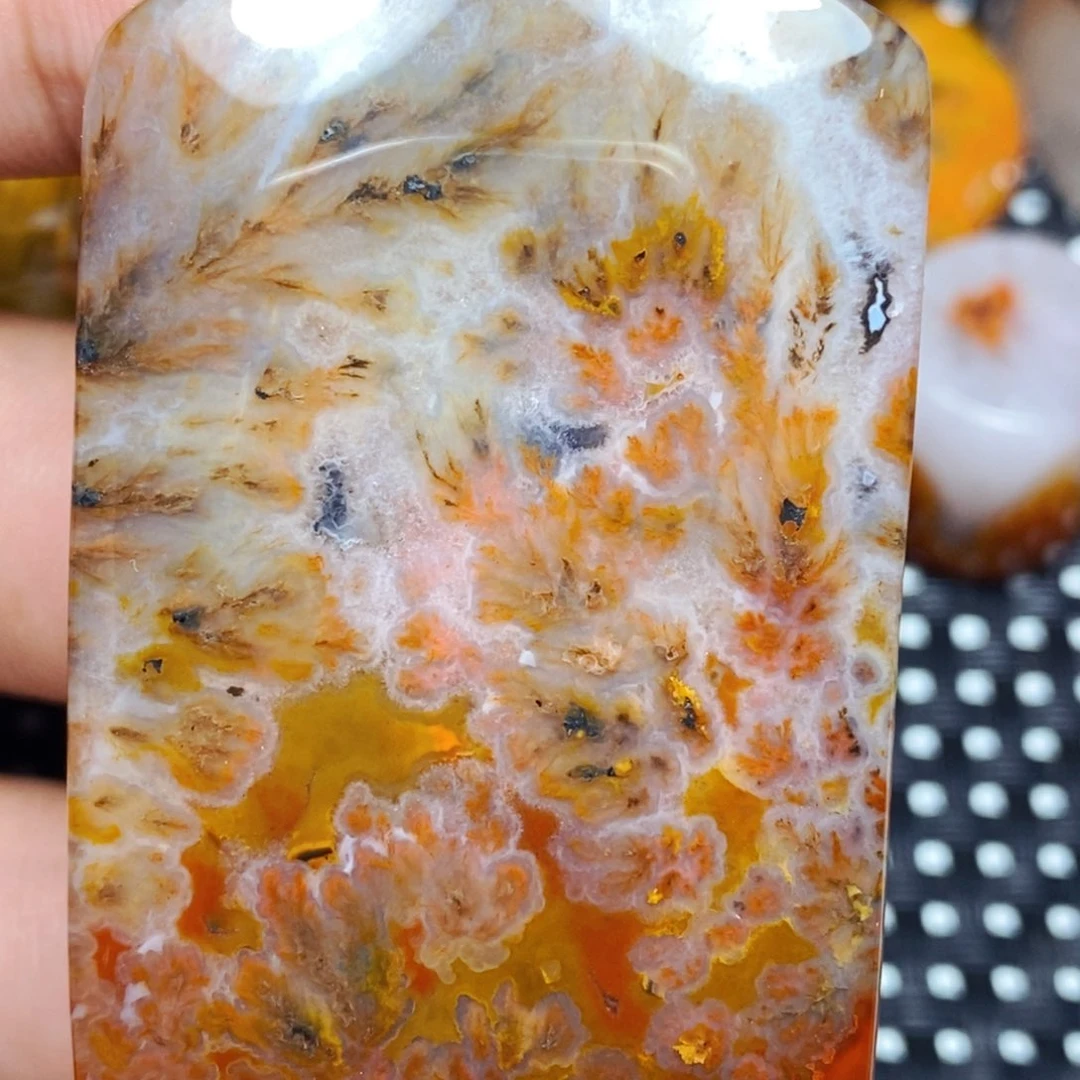 未镶嵌颈饰玛瑙/玉髓赵*依
