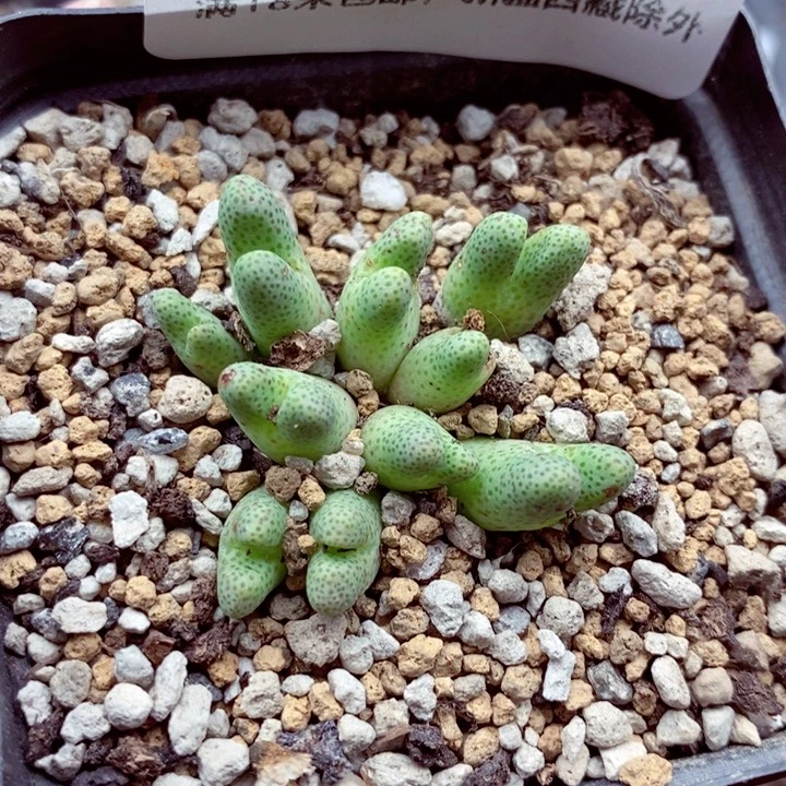 4604。