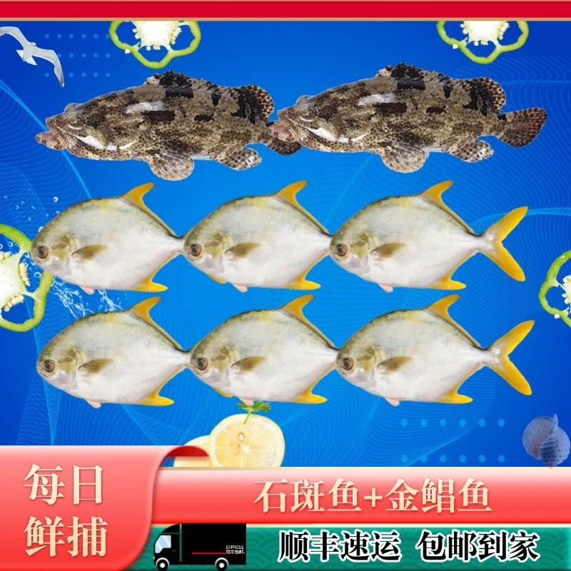 【中秋特惠】龙胆石斑鱼2条+金鲳鱼6条深海新鲜水产海鲜海鱼共5.3斤