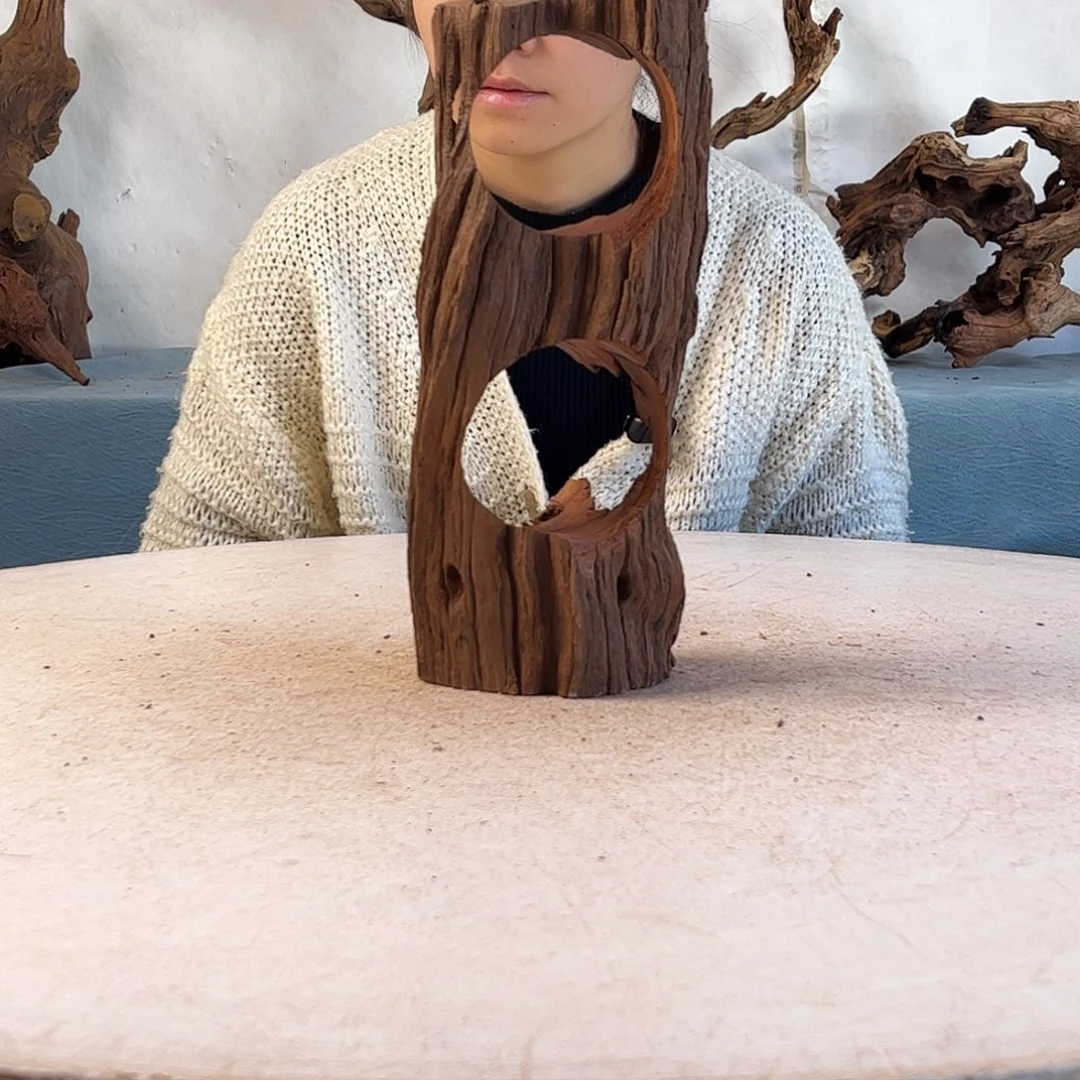 周末福利沉木造景