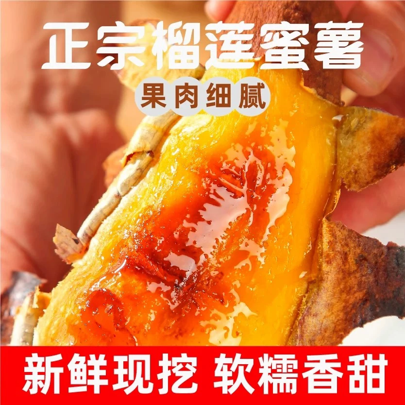 猫山王榴莲蜜薯1袋约2斤 口感细嫩甜蜜薯