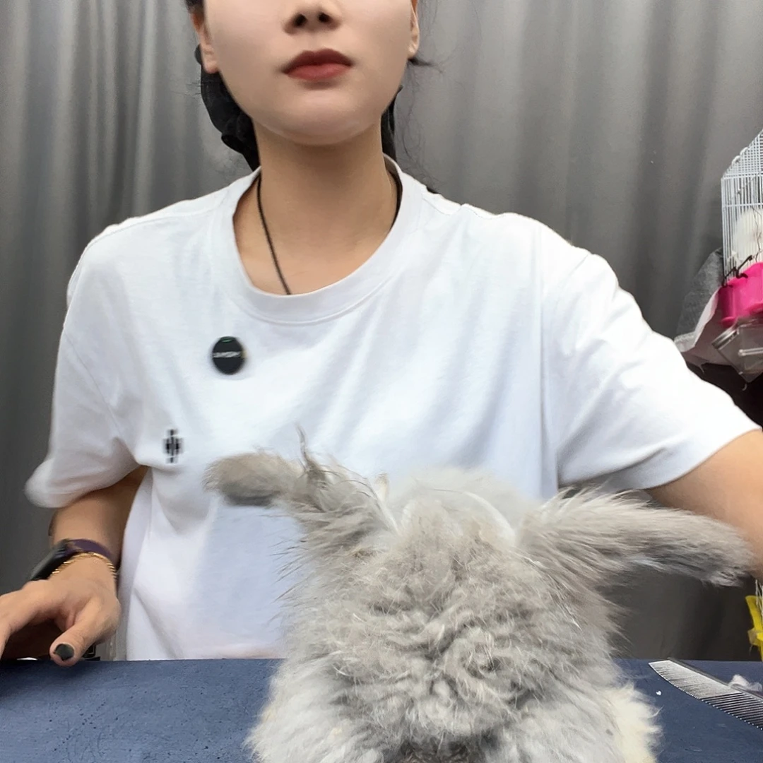 母星黛露妹妹福利出