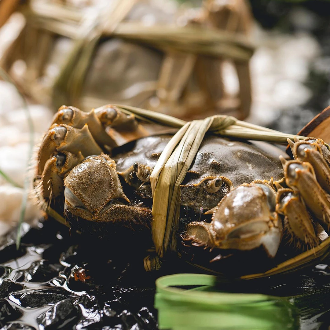 【活蟹】御赏级大闸蟹 公蟹7.0两 母蟹6.0两 4只 6只 8只礼盒装