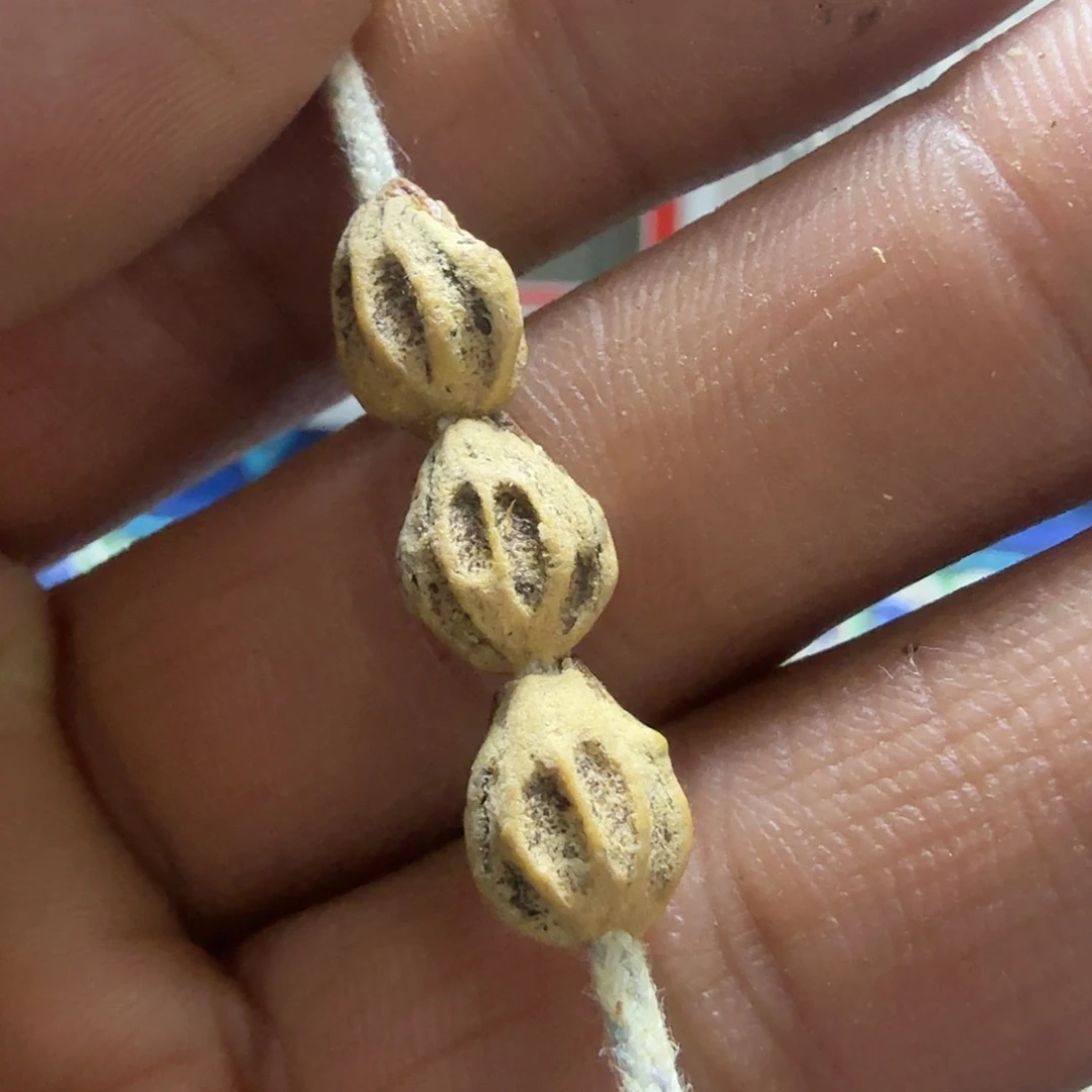 柏香籽/百香籽吊坠