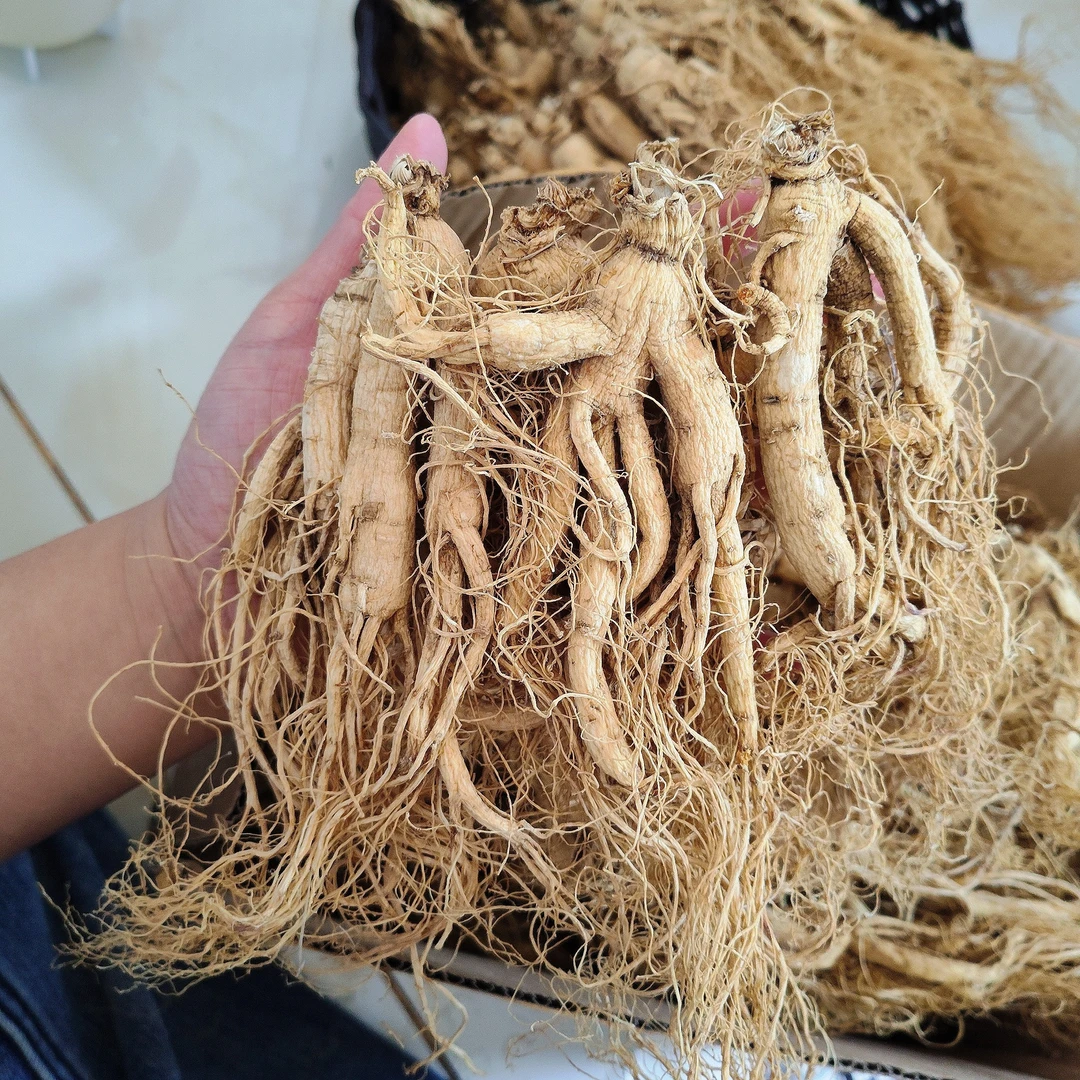 长白山集安生晒参，一斤装，30支左右，呈人形短体