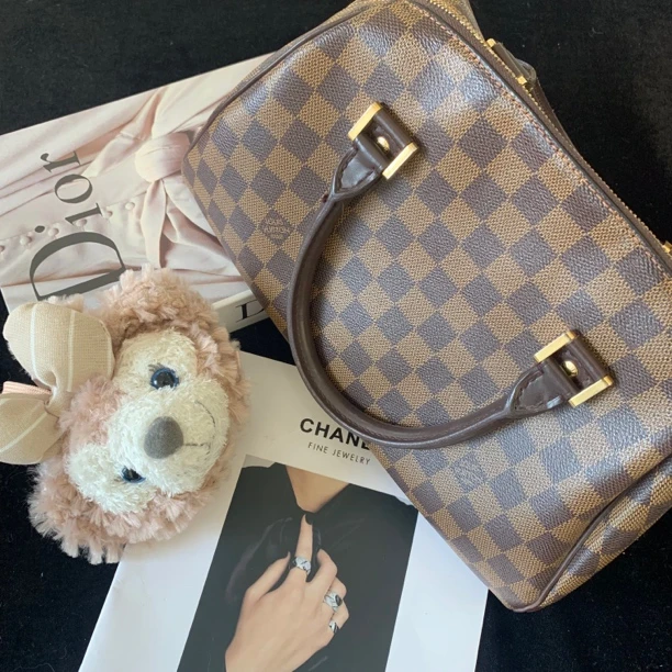 95新 LouisVuitton/路易威登 lv粽棋盘格元宝手提包