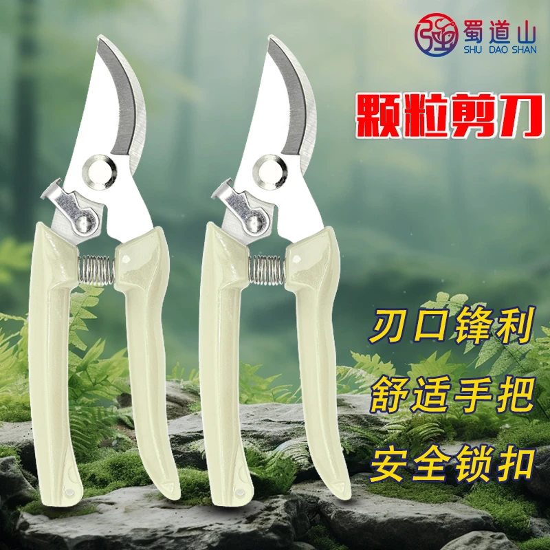 贺强蜀道山颗粒剪刀