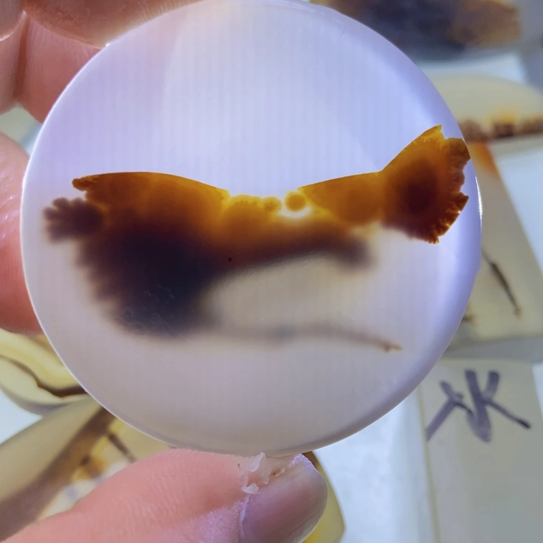 【闪购商品】未镶嵌颈饰玛瑙/玉髓