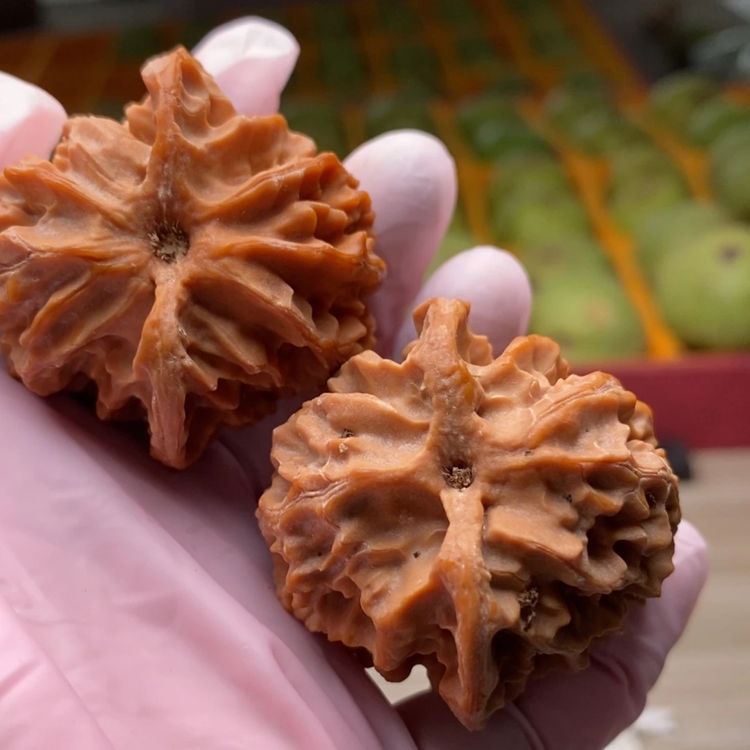 文玩核桃把件野生苹果