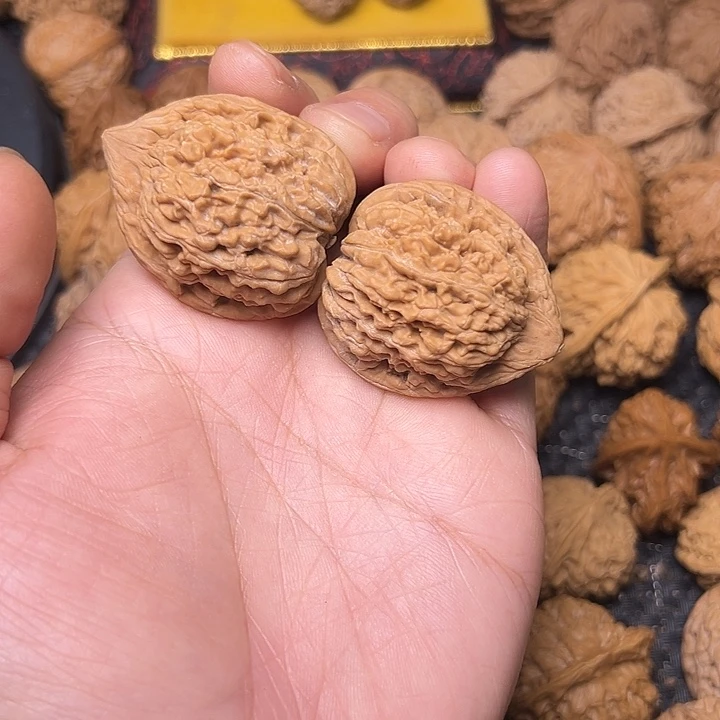 吊坠文玩核桃蚂蚁王