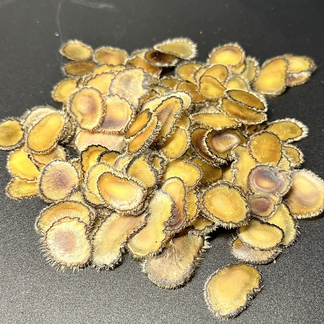 东北特产-鹿茸头部三刀四刀位置的全蜡片10g