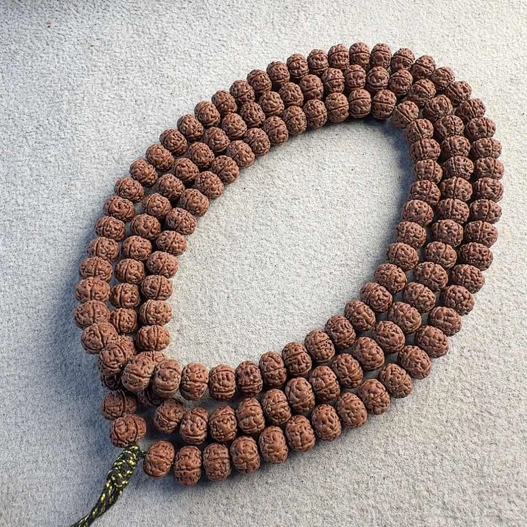 吊坠金刚菩提头货老树王8.3