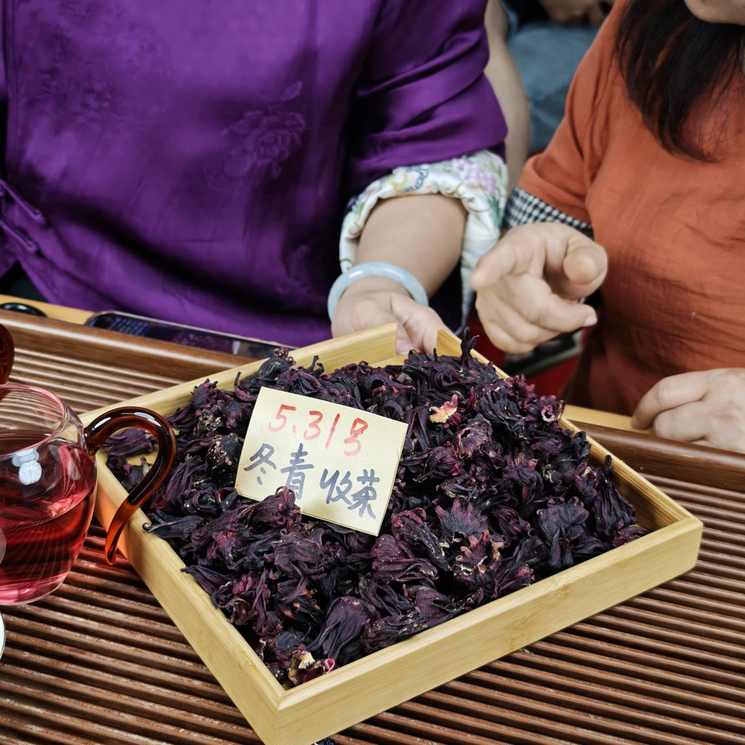 云南香妃洛神花  冬青收茶