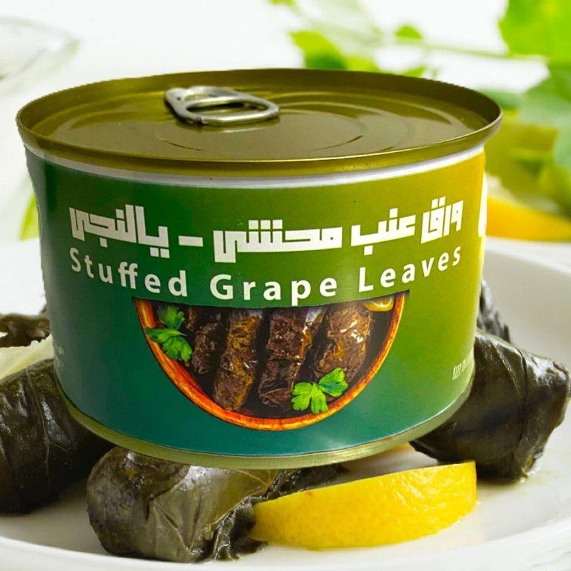 SORYANA STUFFED GRAPE LEAVES中东阿拉伯约旦进口葡萄叶卷包饭