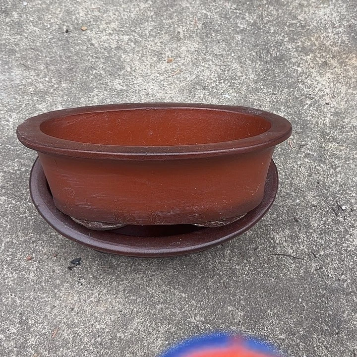 紫砂茶碗两个椭圆紫砂
