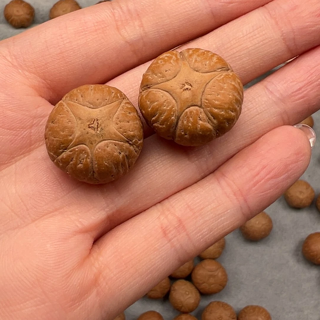 凤眼菩提吊坠核**下五星20和21 两颗