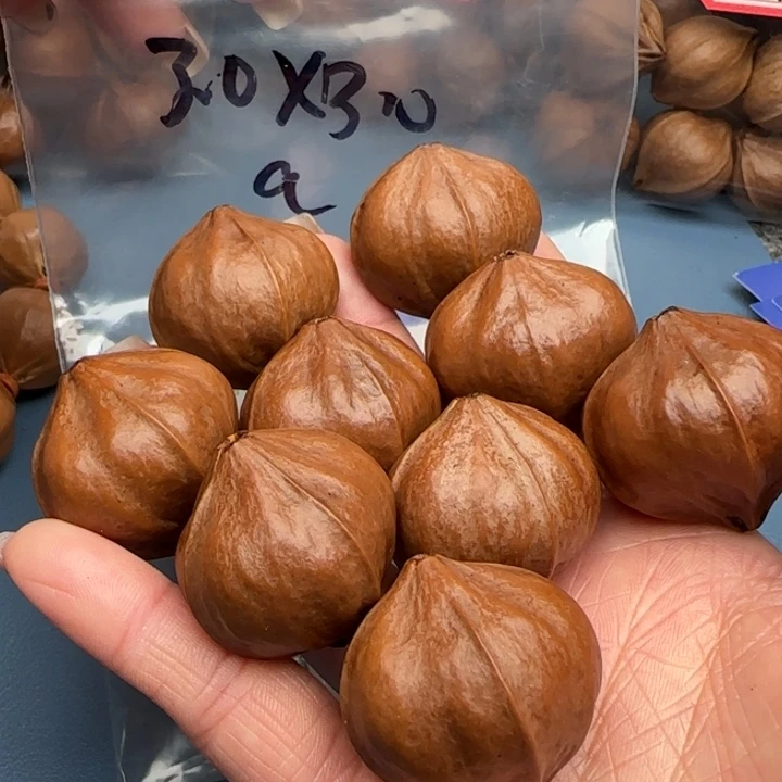 懂***我橄榄核手串橄榄核