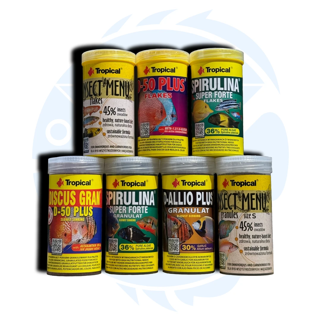 卓必客饲料七彩神仙增色鱼粮