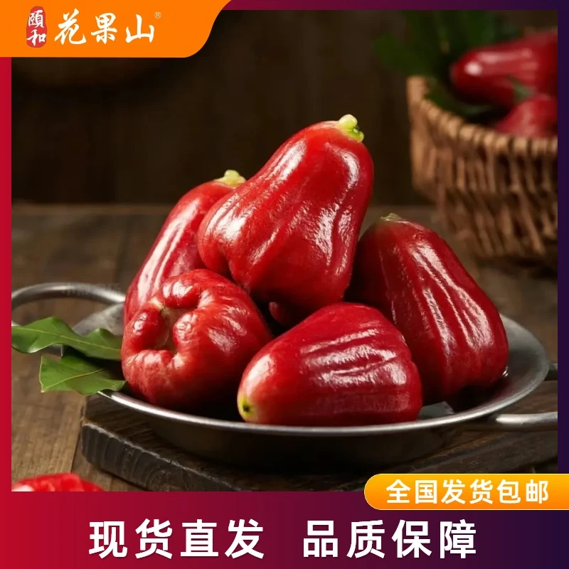 黑金刚莲雾 色泽红润晶莹剔透清脆爽口热带水果礼盒装