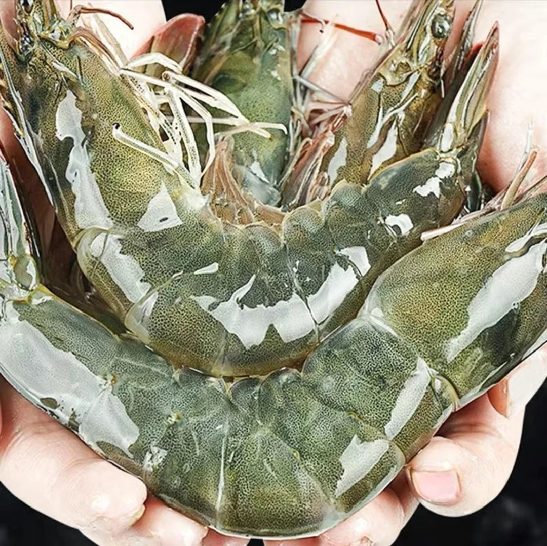 冷冻基围虾300g(活虾捞捕速冻)