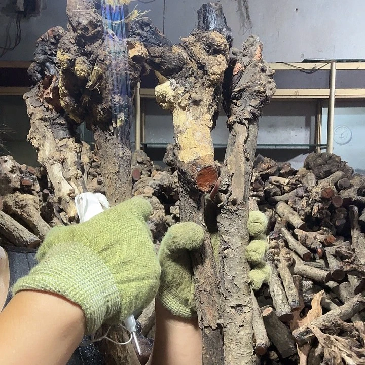 ****晨香榧木火琉璃的故事是一个