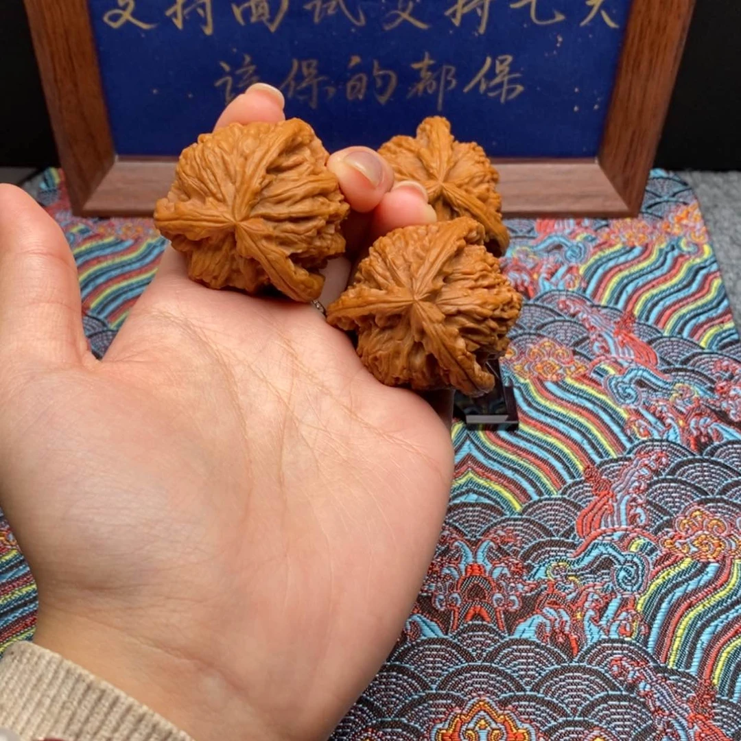 【闪购商品】J*K白狮