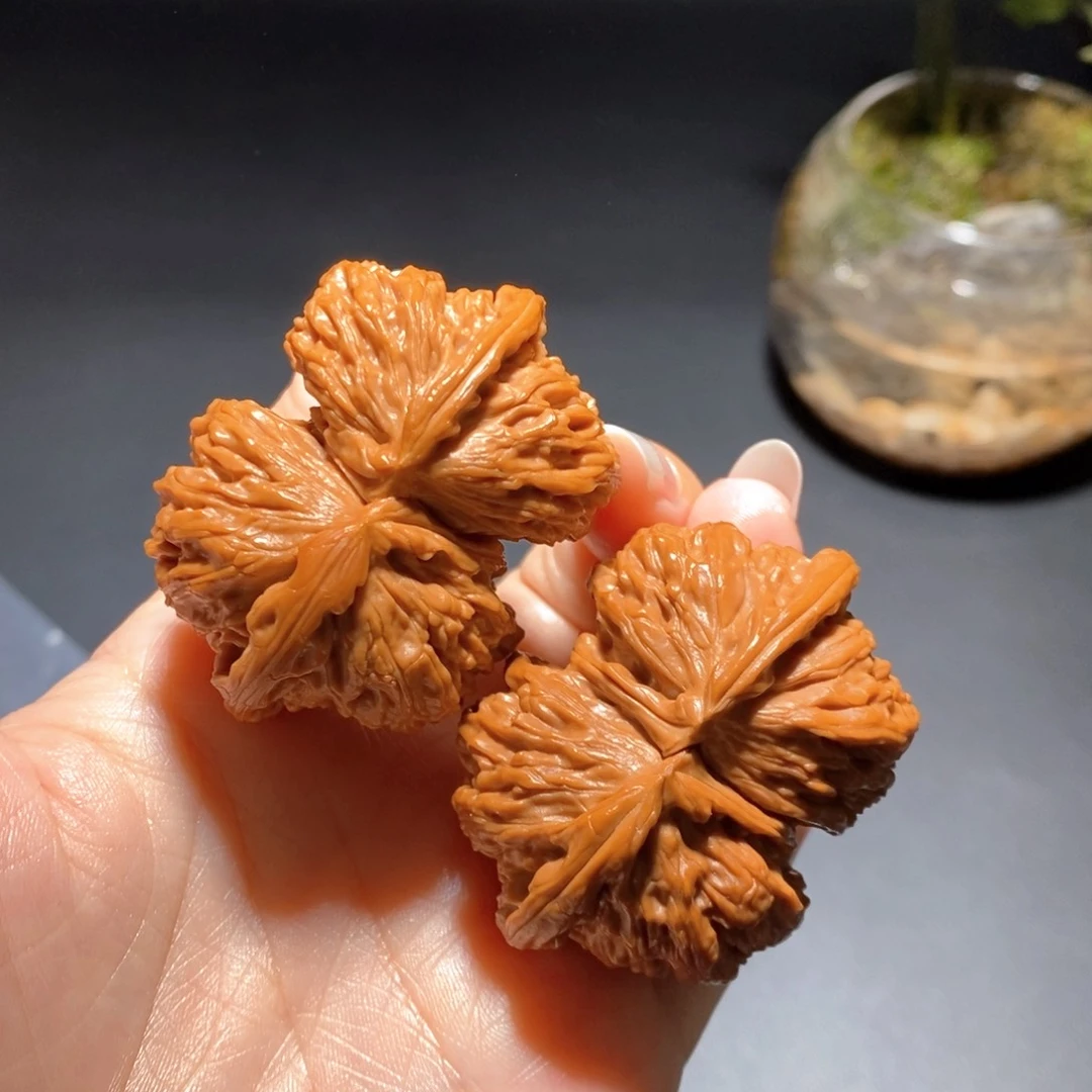 文玩核桃把件白狮子异形