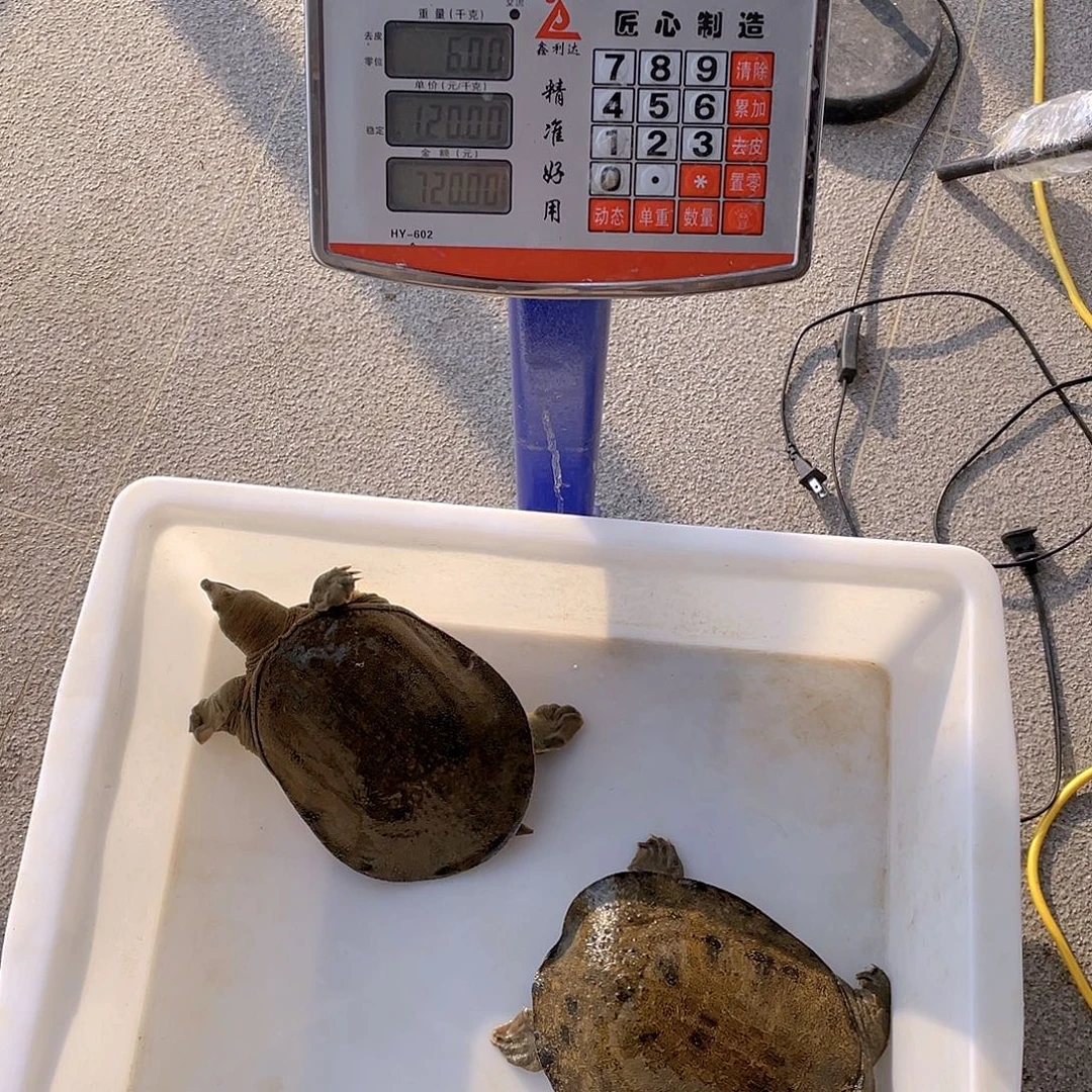 中国大陆57647648577484