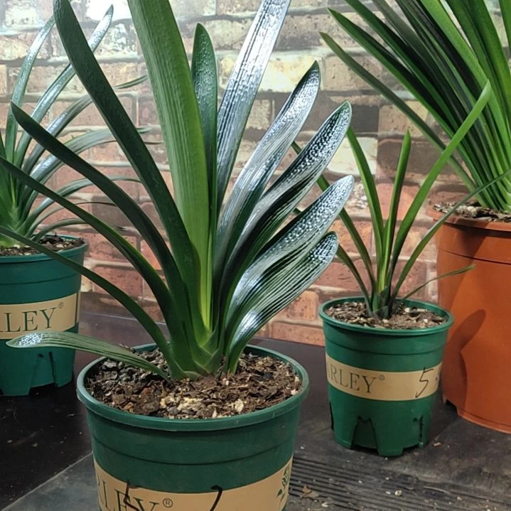 完全开放111111111