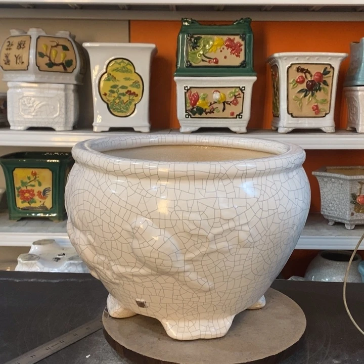 红陶乐*潘花盆里的小猫咪