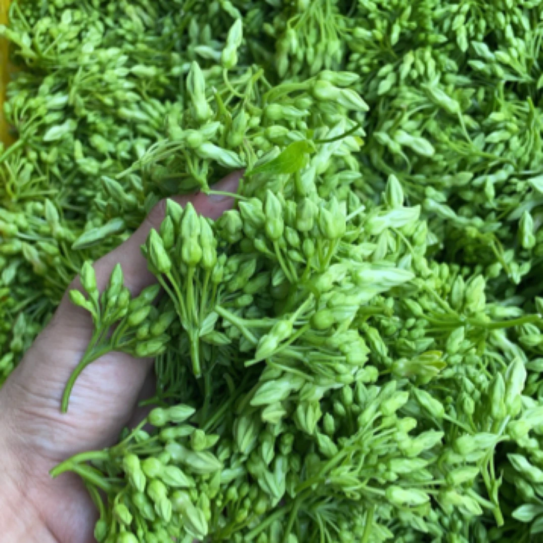 新鲜食用夜来香夜香花煲汤蔬菜生鲜顺丰包邮