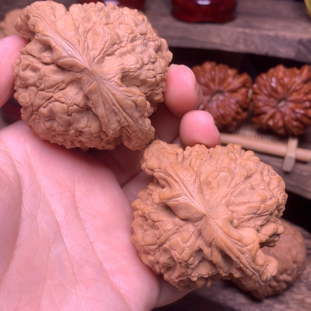 文玩核桃把件57.5龙鼎全品