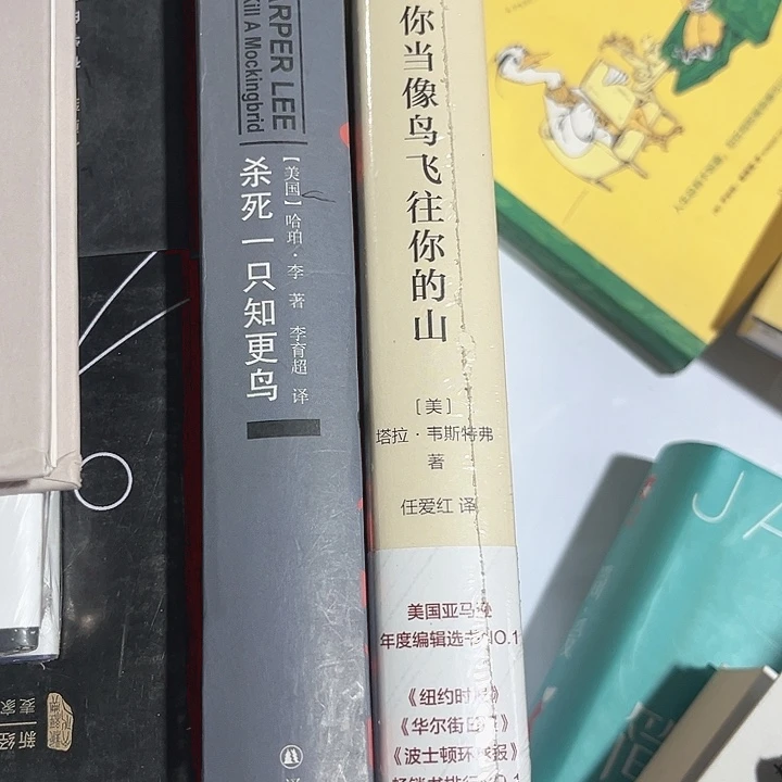 当鸟，知更鸟新书推荐