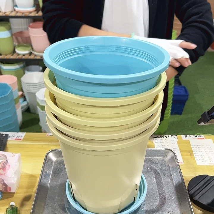特价圆控根口21高21混色带托5个