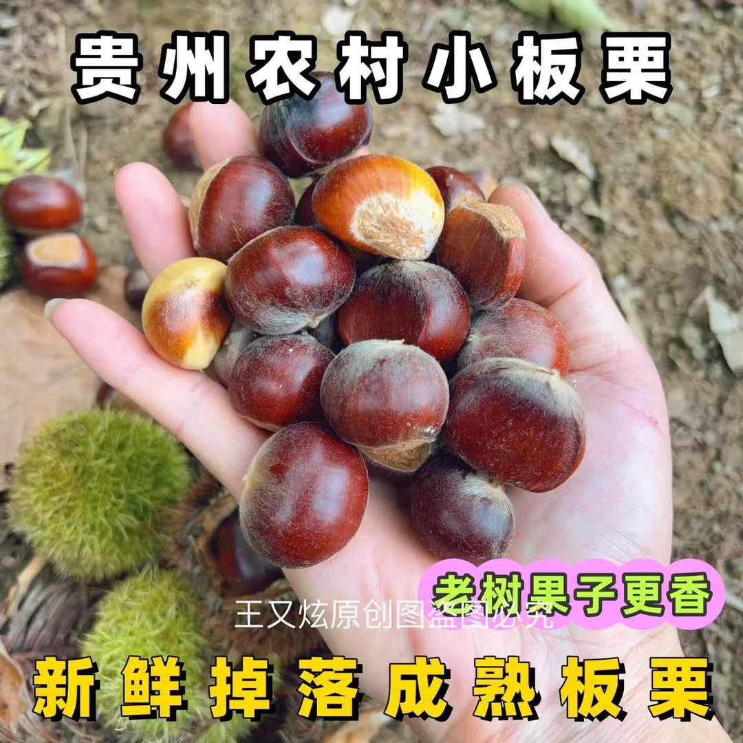 2025新鲜板栗贵州高山野生板栗农村小板栗生板栗新鲜3/510斤板栗