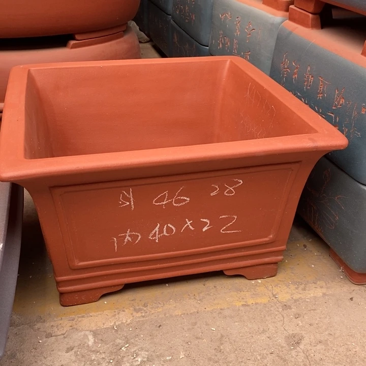 花盆紫砂只顾看电视