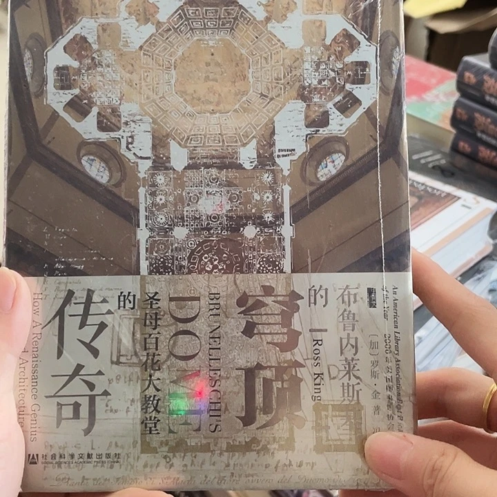 传奇穹顶：微瑕图书系列