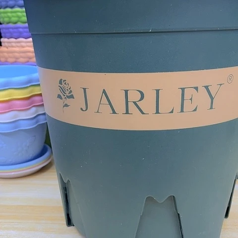 2个290嘉利花盆带托盘