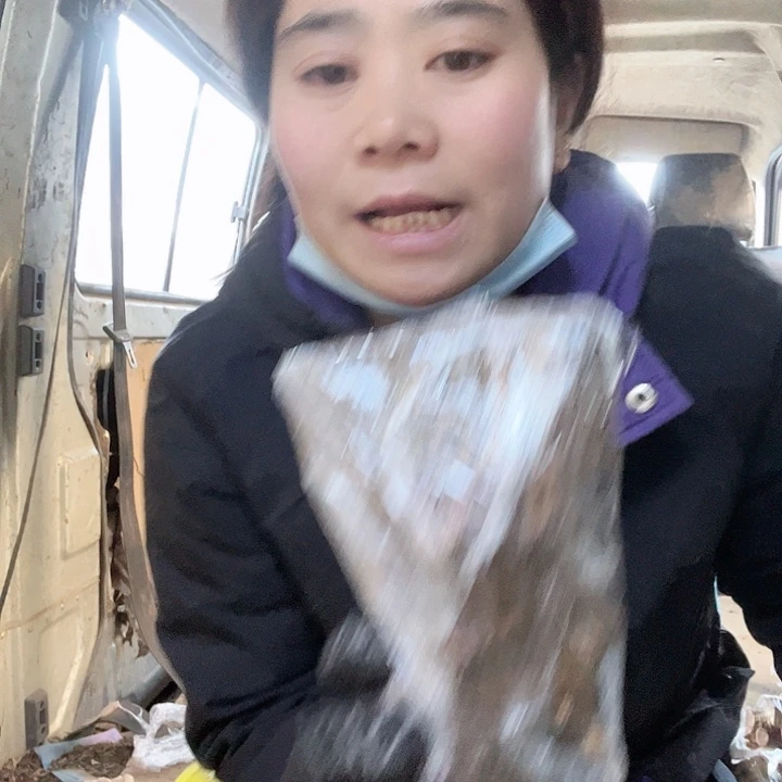 香榧木麻梨的小可爱来