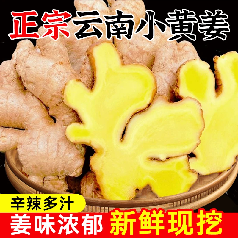 云南高山新鲜现挖一年半老姜小黄姜生姜云南产地发货姜香味浓郁