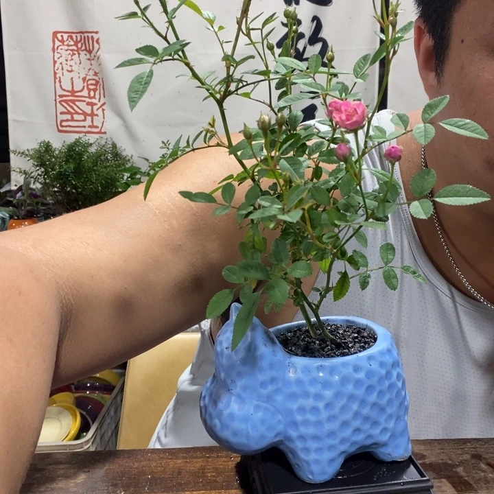 一物一拍所见即所得223