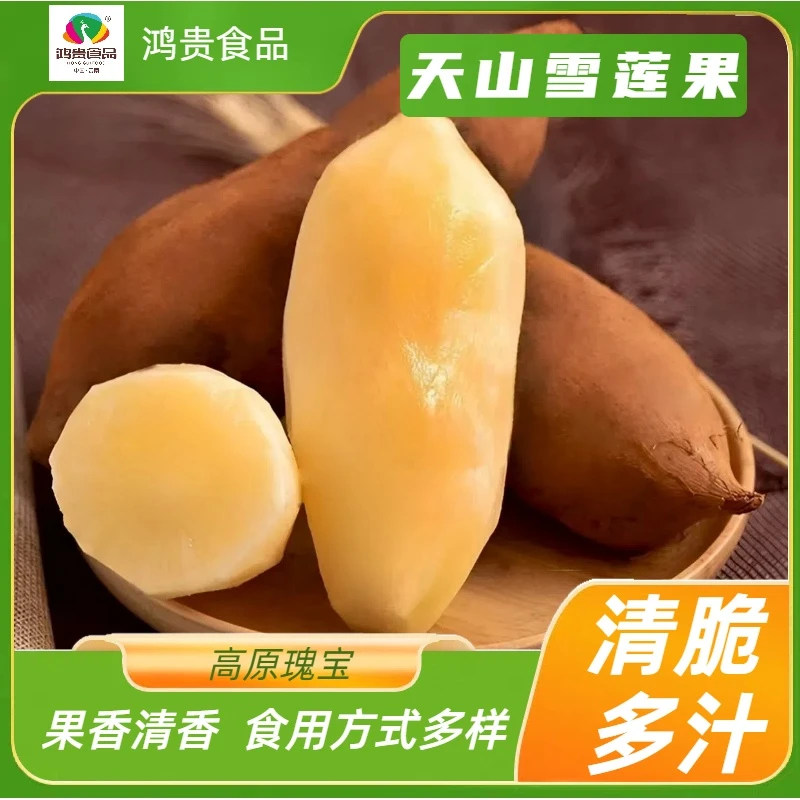 云南天山雪莲果新鲜正宗黄果低糖现挖现发坏果包赔产地直发高品质