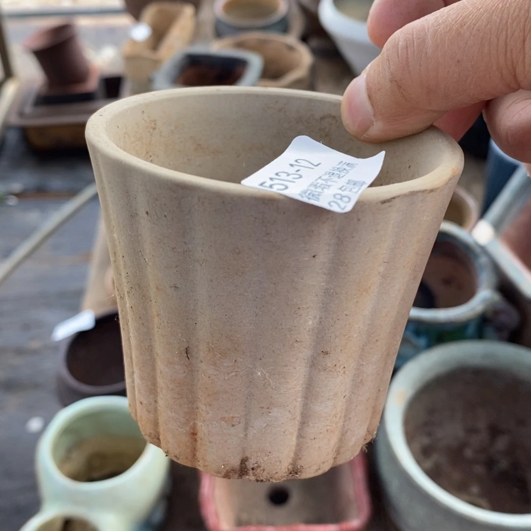 12号多肉盆小可爱