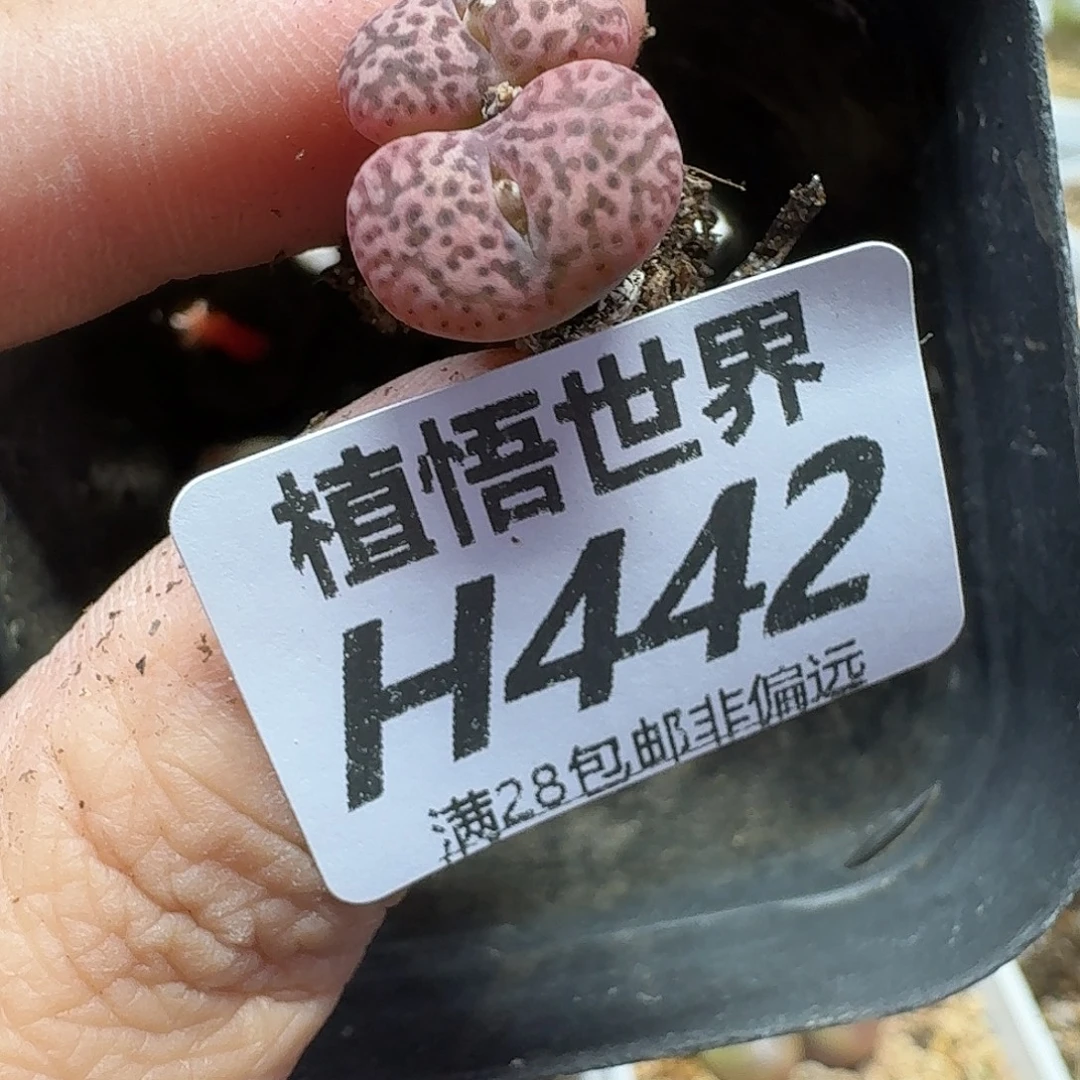 人人自危的润泽的润泽
