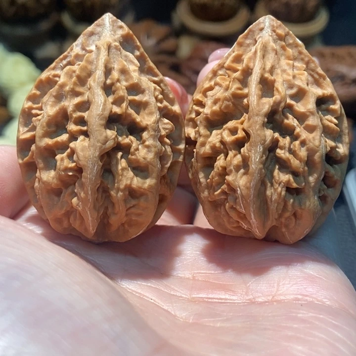 木质类聚核财婉楸16