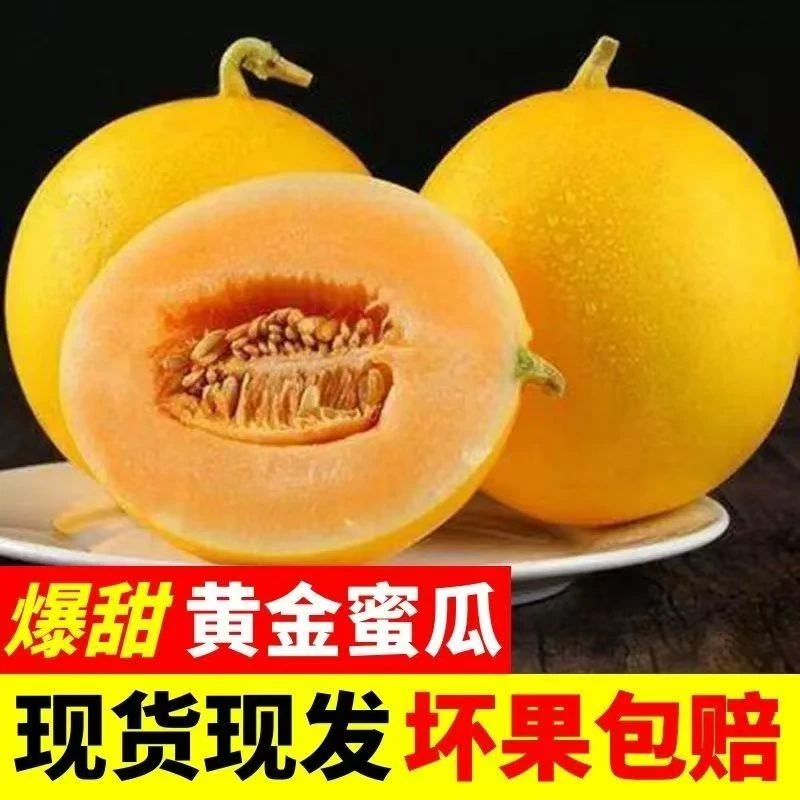 【小明专属】新鲜 黄河蜜瓜 当季水果 清甜多汁 产地直发